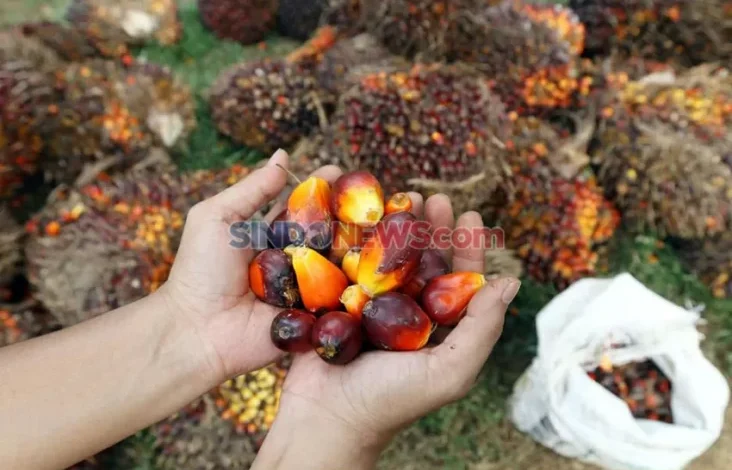16 Invensi Hasil Penelitian GRS 2021-2023, Lebih dari Separo Siap Hilirisasi!