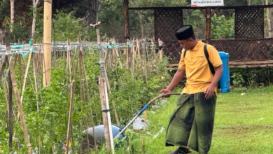 Berkat Inovasi Inisiatif Eco-edufarming, PHE WMO Kembali Raih PROPER Emas 2024