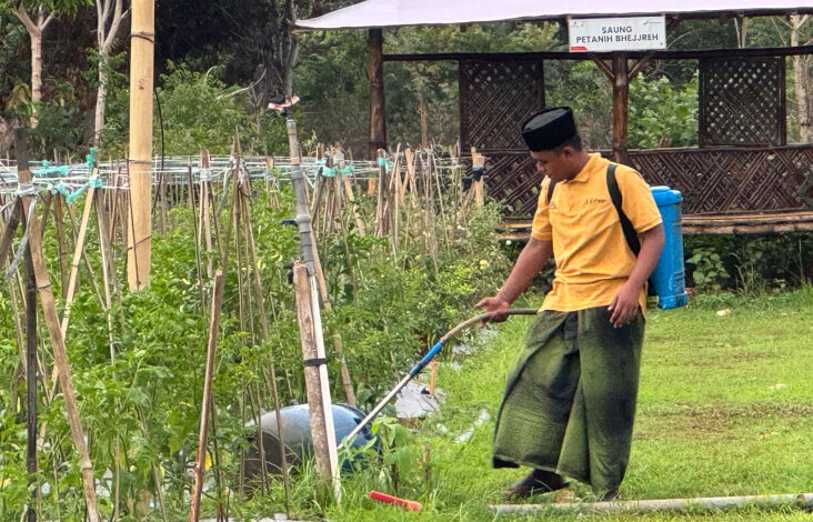 Berkat Inovasi Inisiatif Eco-edufarming, PHE WMO Kembali Raih PROPER Emas 2024
