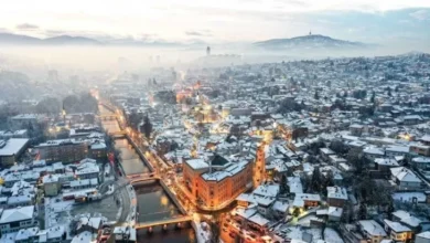Bosnia Buru Presiden, Awal Menteri dan juga Ketua Parlemen Republika Srpska