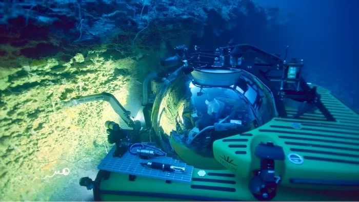 Ekosistem Makhluk-makhluk Misterius Ditemukan pada area Dasar Laut