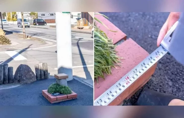 Jepun Ciptakan Taman Terkecil di Dunia, Segini Ukurannya