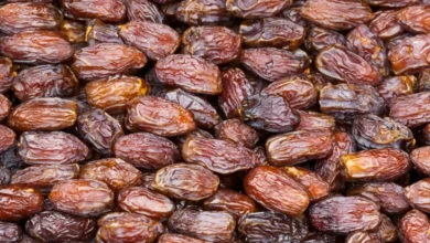 Kenapa Kurma Bagus untuk Berbuka Puasa? Inilah 5 Manfaat yang digunakan mana Bisa Didapat