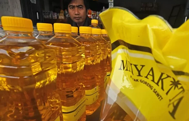 Publik Bisa Tuntut Ganti Rugi kesulitan MinyaKita Tak Sesuai Takaran, Begini Caranya