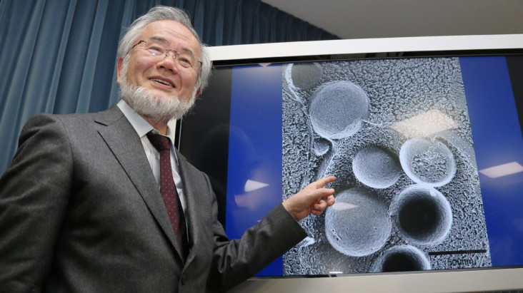 Profil Yoshinori Ohsumi, Peneliti Negeri Sakura yang mana digunakan Mendapat Nobel setelahnya Meneliti Manfaat Puasa