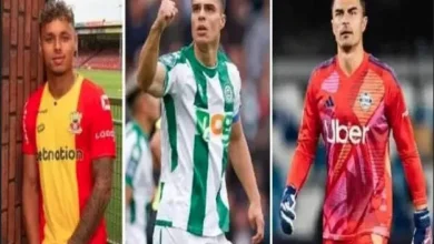 Tok! Paripurna DPR Sahkan Naturalisasi Emil Audero, Joey Mathijs Pelupessy, lalu Dean Ruben James