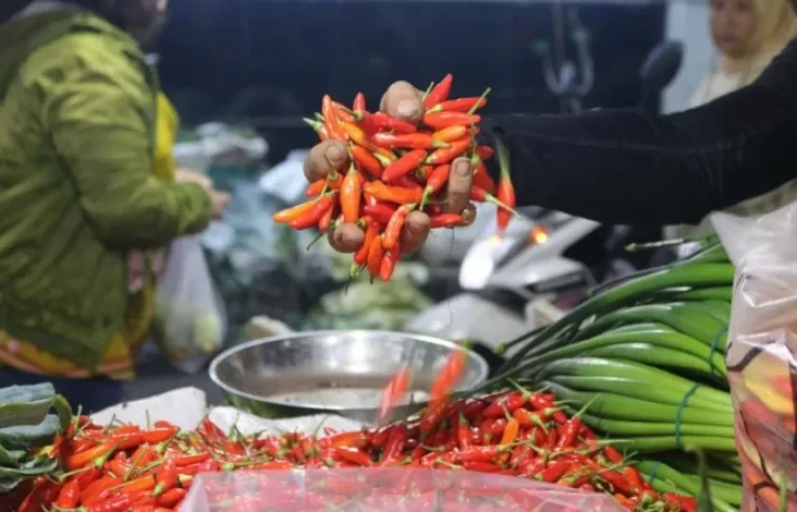 Update Harga Pangan Akhir Pekan 9 Maret 2025, Bawang, Cabai dan juga juga Beras Masih Naik