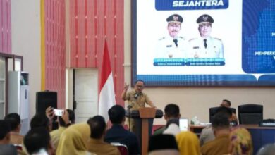 Upaya Sulbar entaskan kemiskinan melalui budi daya kakao