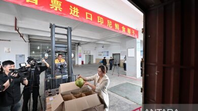 China impor batch pertama kelapa segar dari Indonesi