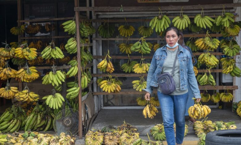 Tips simpan pisang agar bukan ada cepat hitam dan juga lembek
