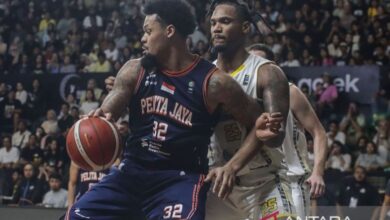 Daftar pemain asing dan juga naturalisasi Pelita Jaya pada IBL 2025