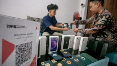 Apa yang dimaksud dimaksud dimaksud iPhone inter, lalu juga apa bedanya dengan versi iBox?