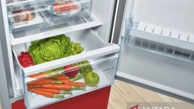 Sederet makanan yang mana digunakan sebaiknya tak disimpan ke “freezer”