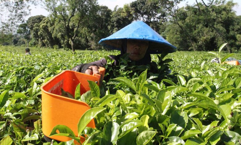Perbedaan karyawan kemudian juga buruh: Definisi, hak, kemudian juga status pekerjaan